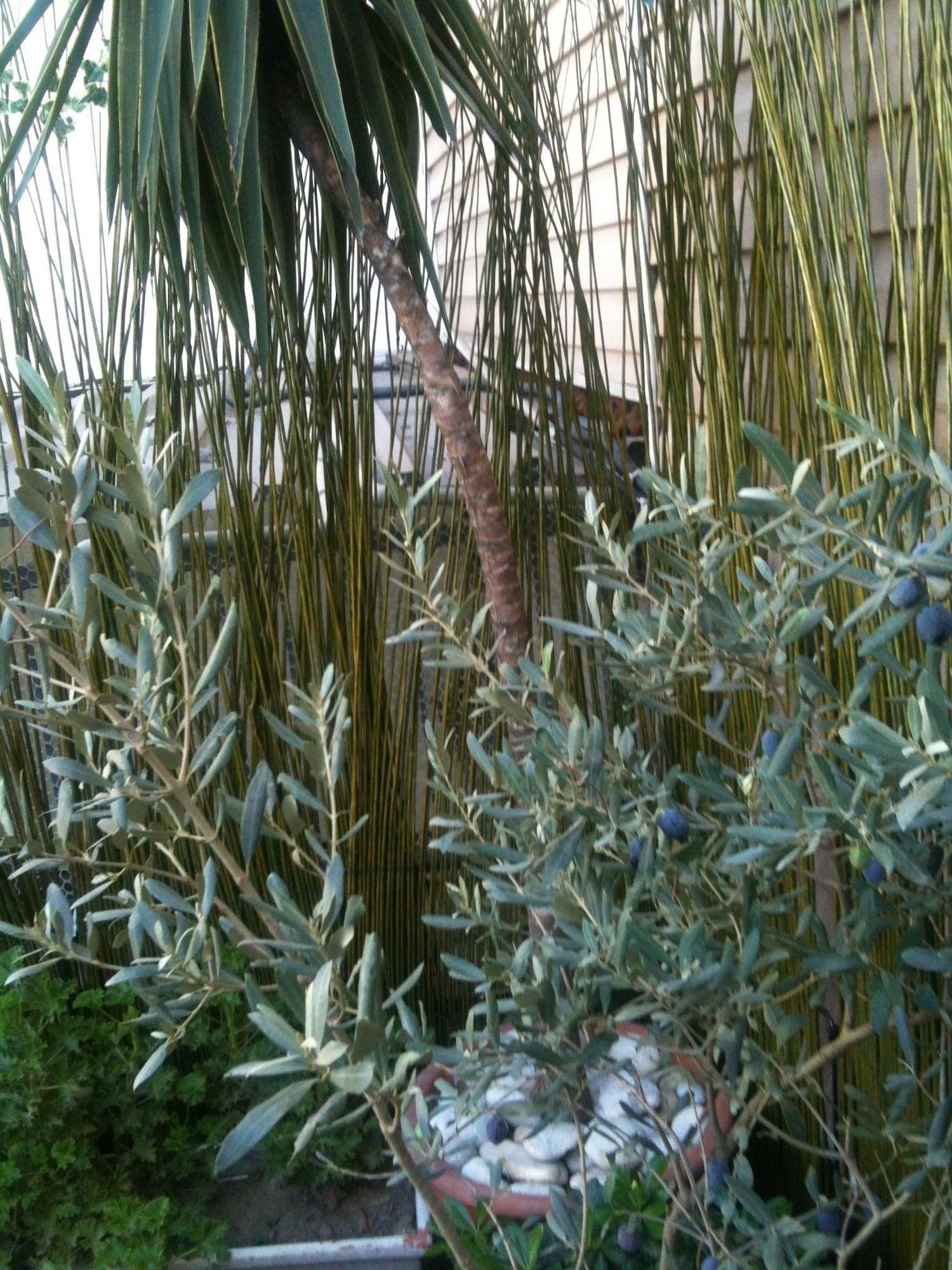 Guzel Izmir Hotel 外观 照片